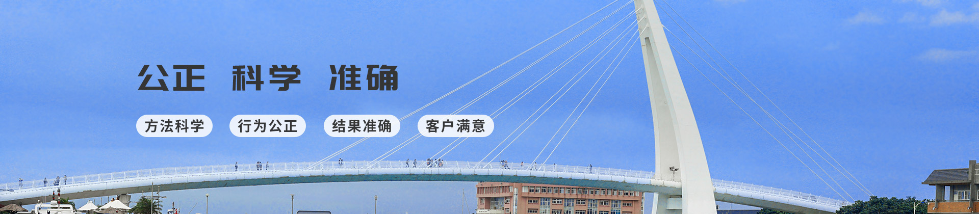 知識產(chǎn)權(quán)專業(yè)律師